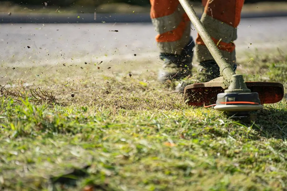 Jardin remis en etat par Allojpm a Pau