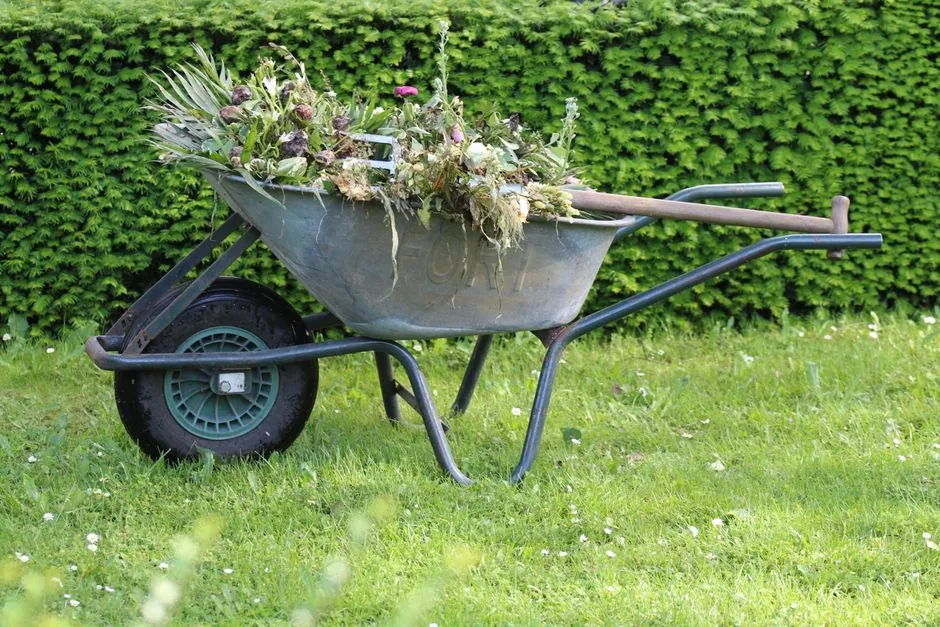 Jardin pyreneen entretenu par Allojpm a Pau